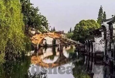 91麻豆国产专区在线观看-网络时代下的公众文化消费观照，国产专区在线体验的多元视点