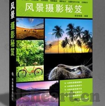 91麻豆剧果冻传媒-创作的边界与伦理，关于网络内容安全及91麻豆剧果冻传媒的深思