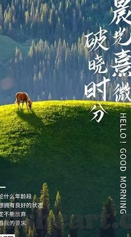av一区二区-探索AV一区二区的多元魅力与文化边界