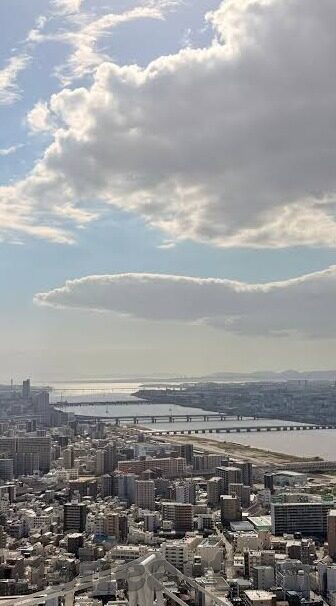 成人动态视频-成人动态视频，社会现象与个人选择的交织