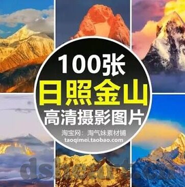 大象传媒十八勿进8080-大象传媒与网络边界的智慧之舞