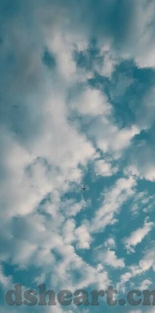 麻豆传媒映画在线观看-不可触及的灰色地带，对麻豆传媒映画在线观看的探讨与分析