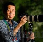 丝瓜秋葵麻豆绿巨人app-探索成人娱乐世界的多元魅力，丝瓜秋葵、麻豆与绿巨人App的奇妙之旅