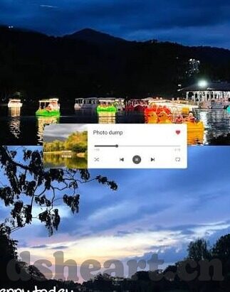 糖心直播app下载地址-探索多元娱乐的全新门户，解锁糖心直播的精彩世界